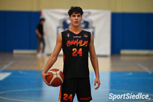 basket-animales25 (41)