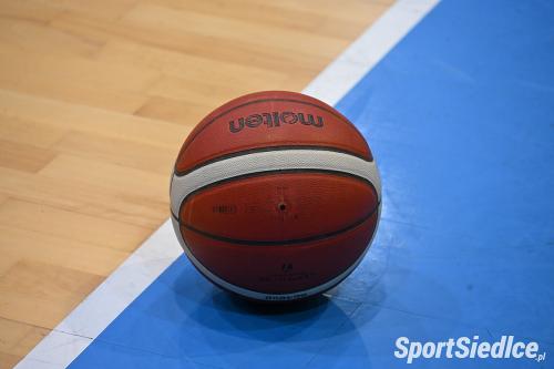 basket-animales25 (61)
