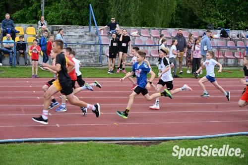 biegi3-majowe25 (24)