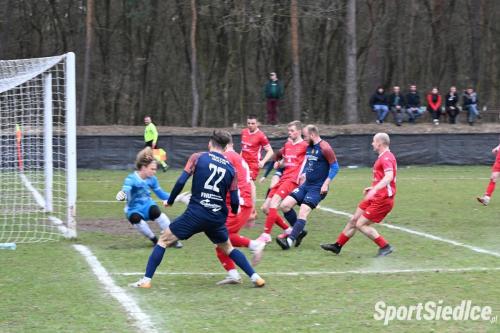 golabek_wektra25 (12)