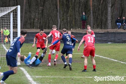 golabek_wektra25 (13)