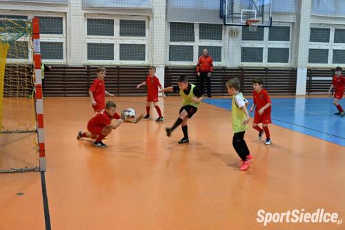 jastrzab_laczy (31)