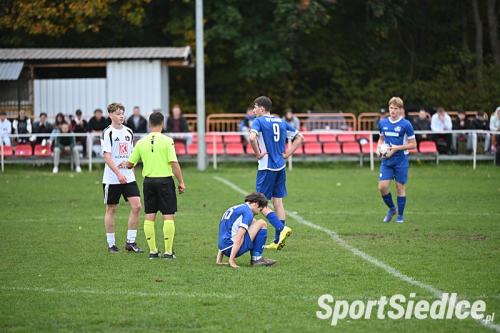 jastrzab_sep26101126S_5849