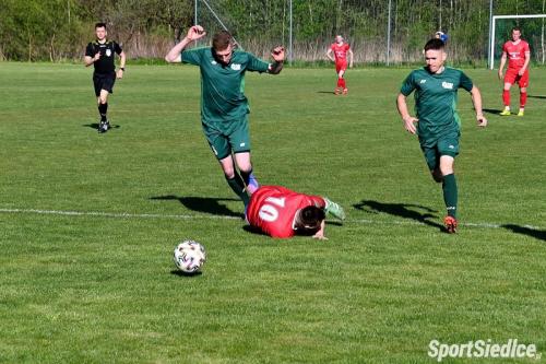 ldk-golabek (34)