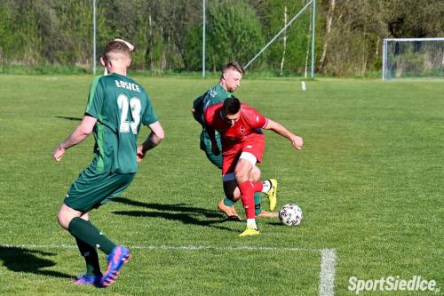 ldk-golabek (35)