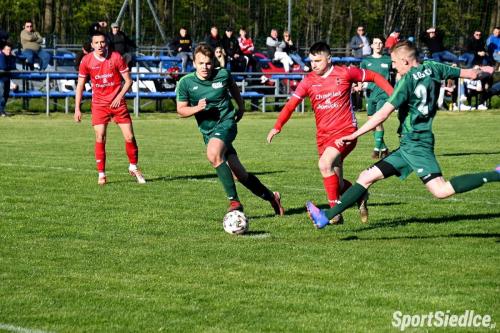 ldk-golabek (36)