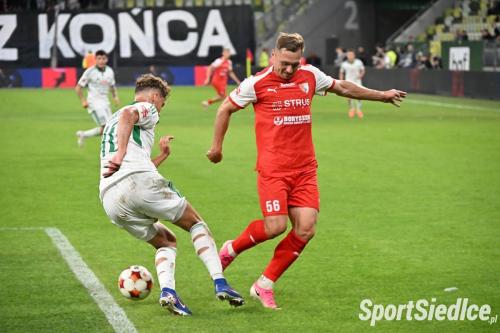 lechia_pogons (16)