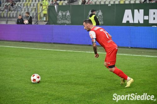 lechia_pogons (19)