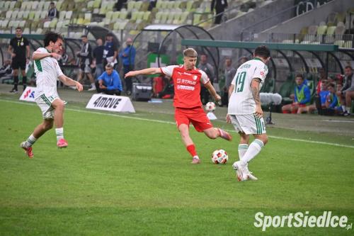 lechia_pogons (20)