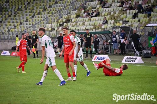 lechia_pogons (22)