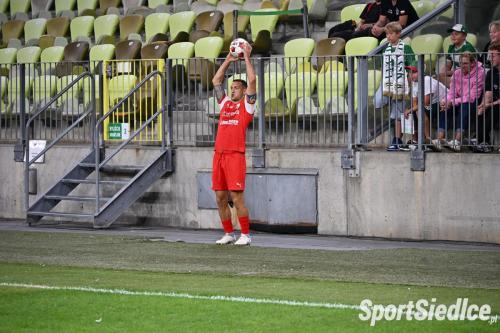 lechia_pogons (24)