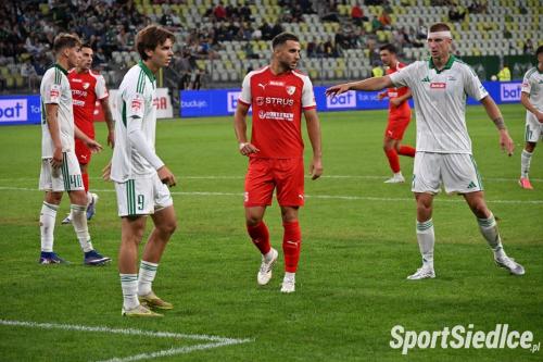 lechia_pogons (25)