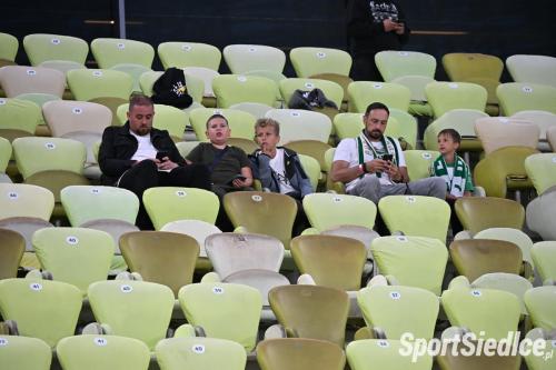 lechia_pogons (6)