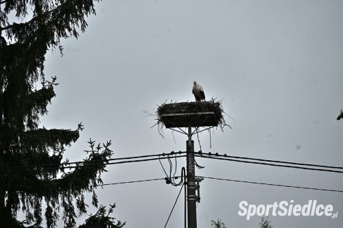 otwarcie_boiska_w_czurylach (24)