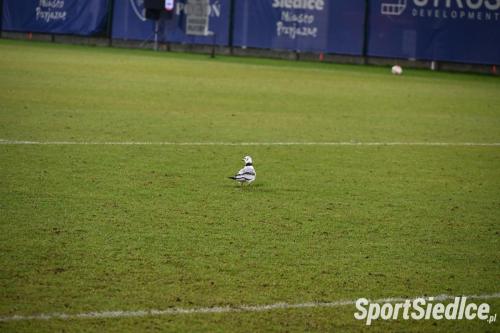 pogon_kotwica24 (44)