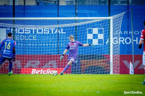 pogon_odra_vfs (7)