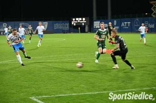 pogon_slask25 (68)