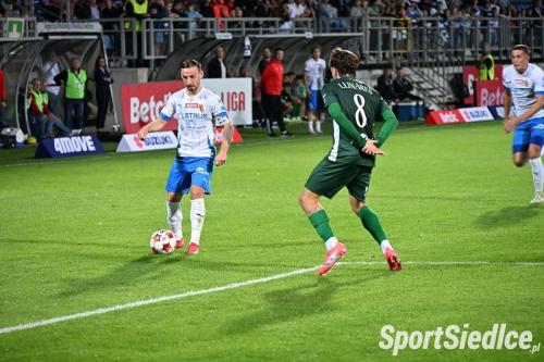 pogon_slask25 (80)