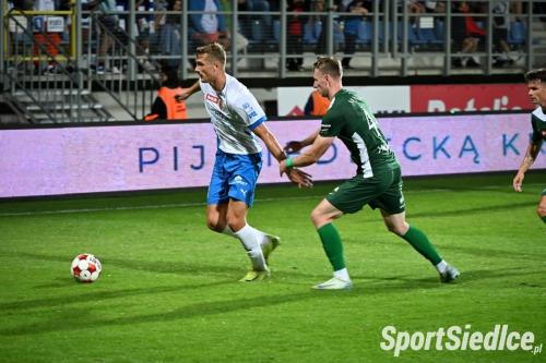pogon_slask25 (83)
