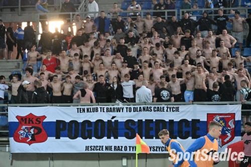 pogon_stalm26 (42)