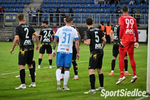 pogon_stalm26 (45)