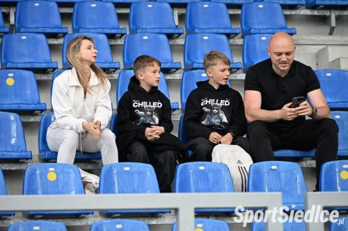 pogon_stalm26 (8)