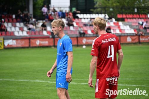 pogongm_pogons26spar (32)