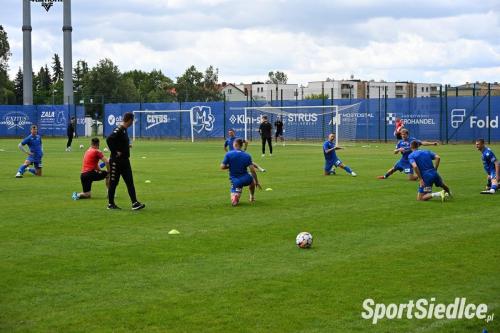 pogons_pogongm25 (1)