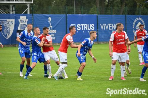 pogons_stalmie (39)