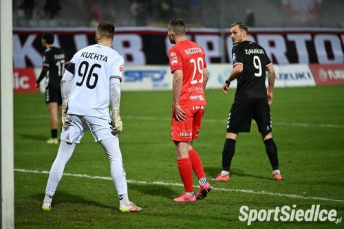 poloniaw_pogons25 (44)
