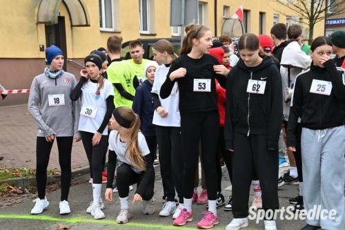 siedleckiebieginiepodleglosciowe251111 (100)