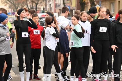 siedleckiebieginiepodleglosciowe251111 (113)