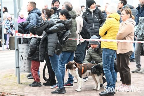 siedleckiebieginiepodleglosciowe251111 (145)