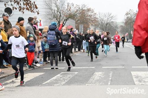 siedleckiebieginiepodleglosciowe251111 (205)
