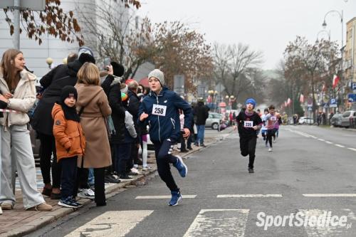 siedleckiebieginiepodleglosciowe251111 (284)