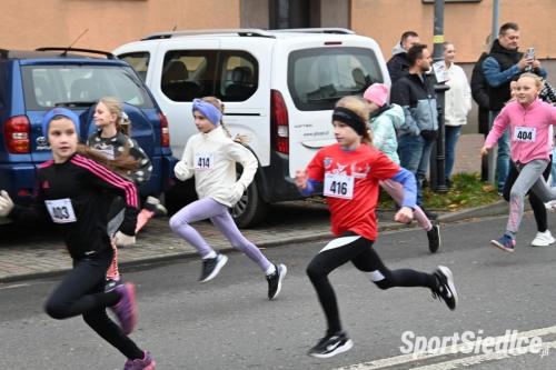 siedleckiebieginiepodleglosciowe251111 (307)