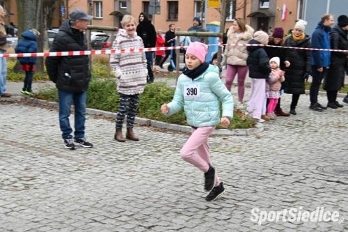 siedleckiebieginiepodleglosciowe251111 (320)