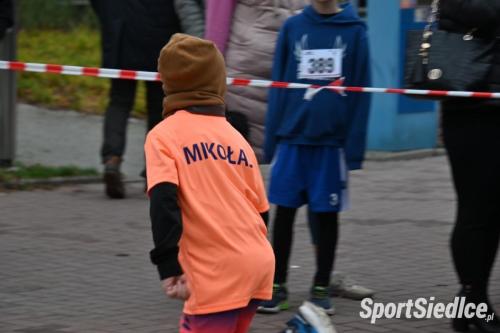 siedleckiebieginiepodleglosciowe251111 (345)