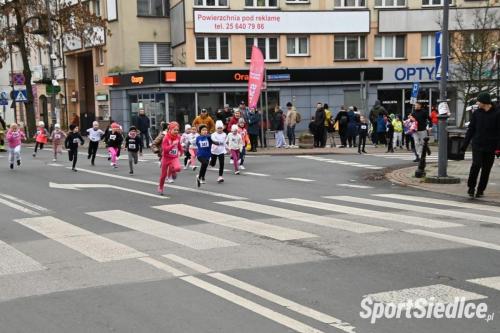 siedleckiebieginiepodleglosciowe251111 (366)