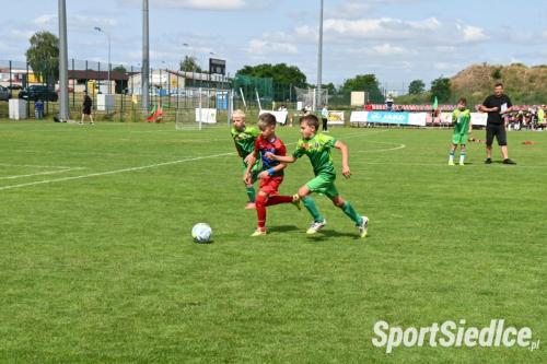 szukamy_jankowps26 (81)