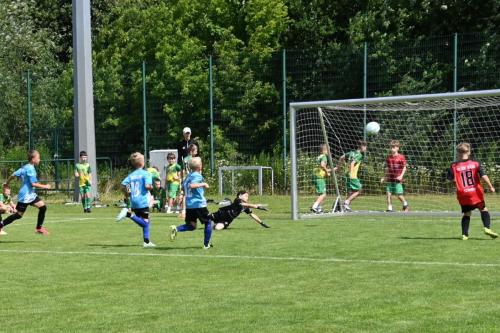 szukamy_jankowps26 (99)