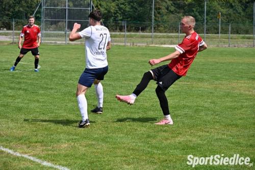 turlnij_wektra2 (33)