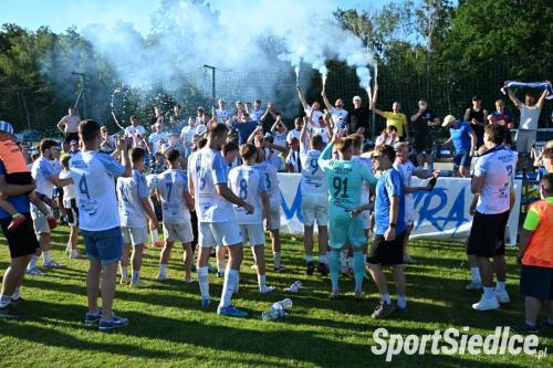 wektra_deltaw (60)