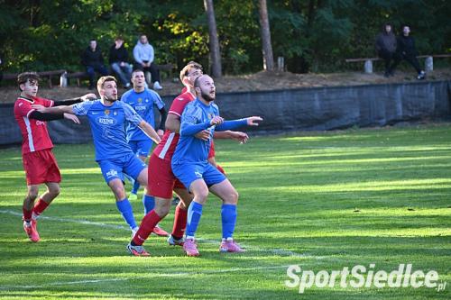 wektra_golabek2626S_3239